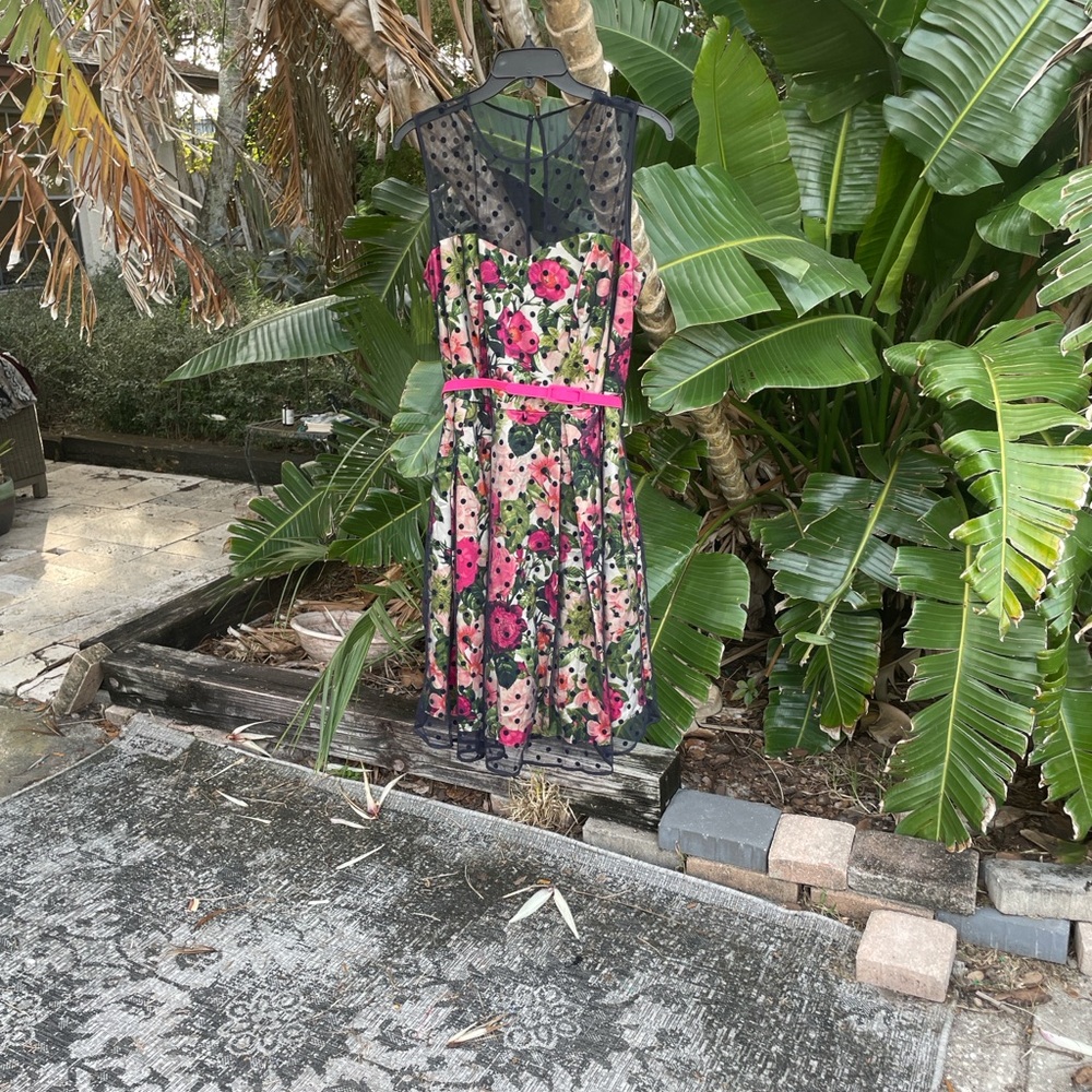 polkadot lace dark floral fit and flared dress - Picture 3 of 7